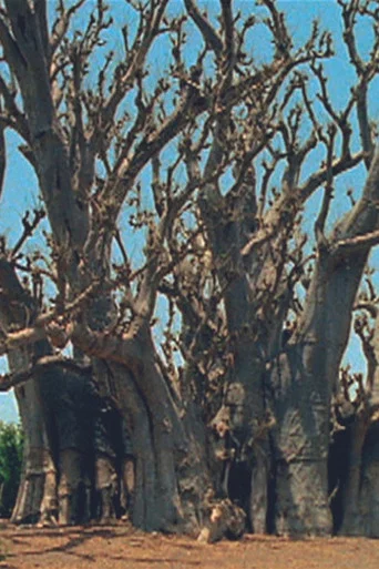 Movie poster for Baobab (2000)