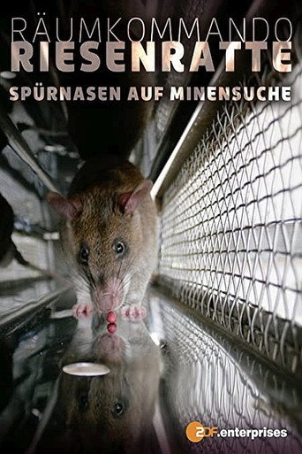 Movie poster for Räumkommando Riesenratte - Spürnasen auf Minensuche (2008)