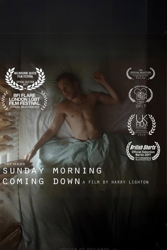 Movie poster for Sunday Morning Coming Down (2016)