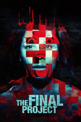 Movie poster for The Final Project (2016)