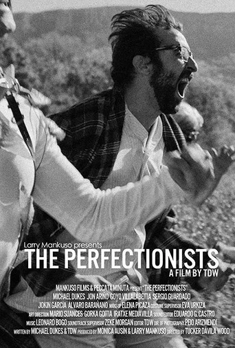 Movie poster for The Perfectionists (2013)