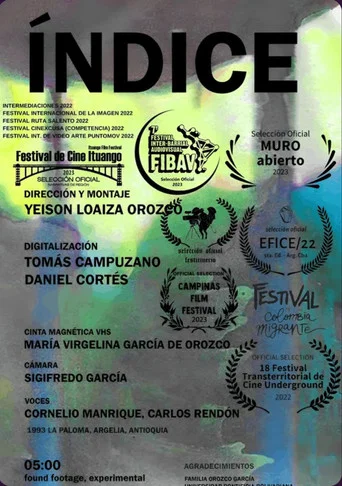 Movie poster for Index