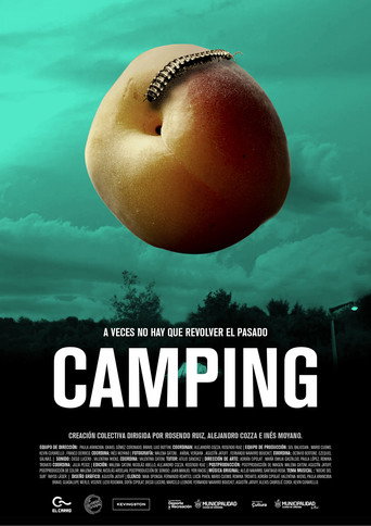 Movie poster for Camping (2017)