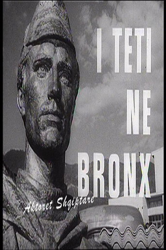 Movie poster for The Bronze Bust (1970)