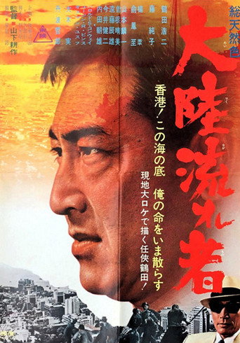 Movie poster for Continental Drifter (1966)