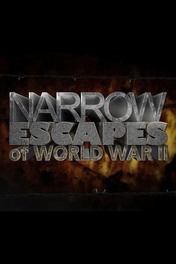 Series poster for Narrow Escapes of WWII (2015)