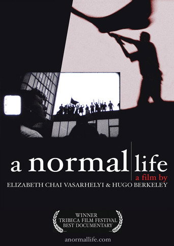 Movie poster for A Normal Life (2003)