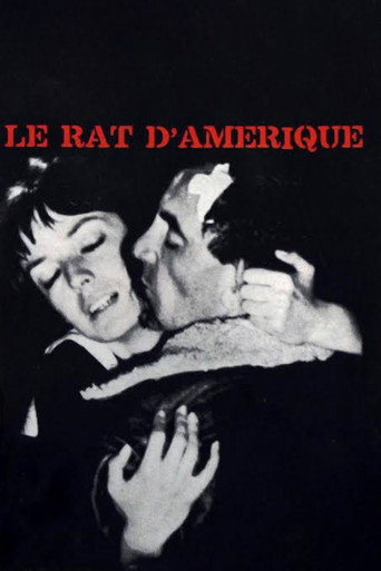 Movie poster for Rat Trap (1963)