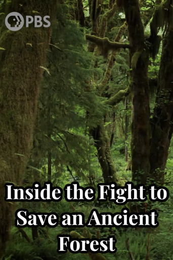 Movie poster for Inside the Fight to Save an Ancient Forest (and the Secrets it Holds) (2021)