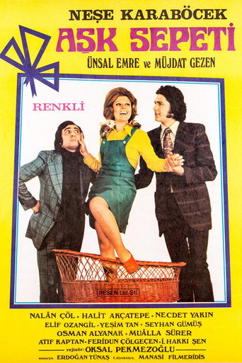 Movie poster for Aşk Sepeti (1972)