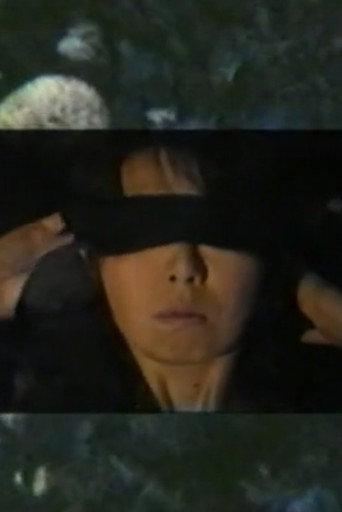 Movie poster for The Leap (No Leap) (1992)