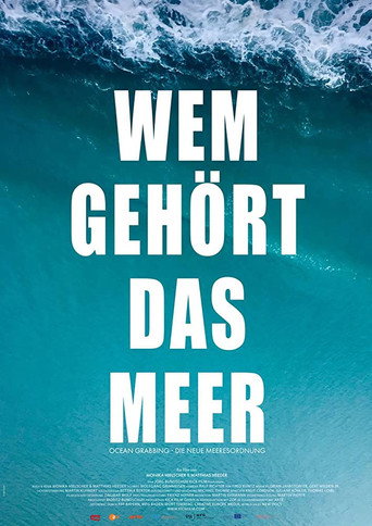 Movie poster for Wem gehört das Meer? Ocean Grabbing - Die neue Meeresordnung (2019)