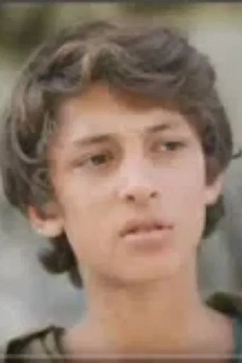 Nika in the mountains poster