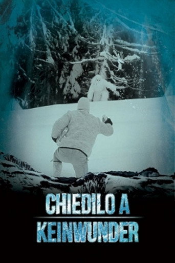Movie poster for Chiedilo a Keinwunder (2014)