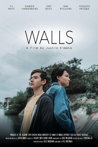 Movie poster for Walls (2020)