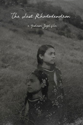 The Last Rhododendron poster