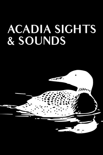 Movie poster for Acadia Sights & Sounds (2009)