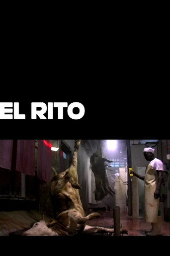 Movie poster for El rito (2010)