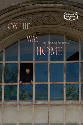 Movie poster for On the Way Home (2024)