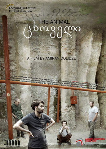 Movie poster for The Animal (2019)