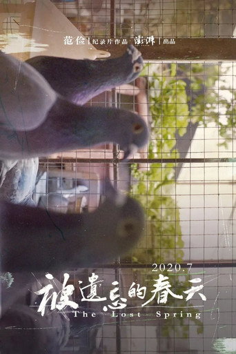 Movie poster for 被遗忘的春天 (2020)