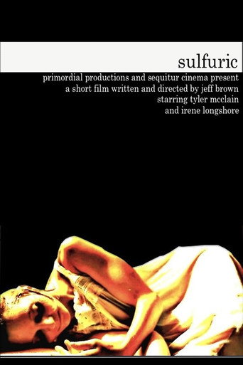 Movie poster for Sulfuric (2013)