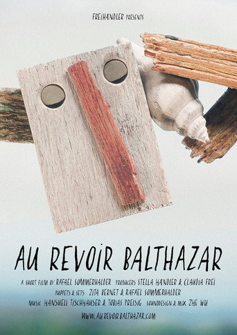 Movie poster for Goodbye Balthazar (2016)