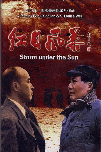 Movie poster for Storm Under the Sun (2007)