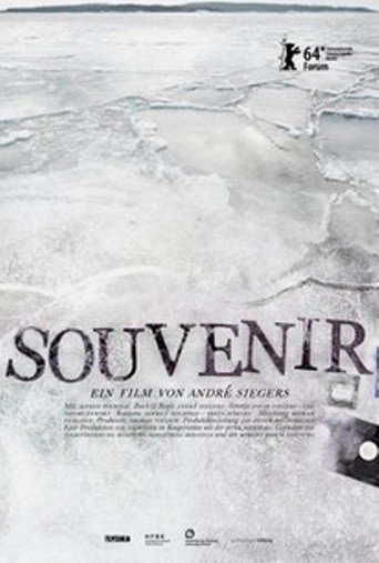 Movie poster for Souvenir (2014)