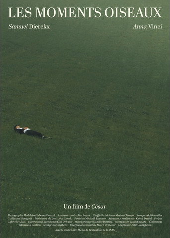 Movie poster for Les Moments Oiseaux (2026)