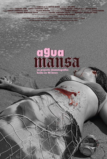 Movie poster for Agua Mansa