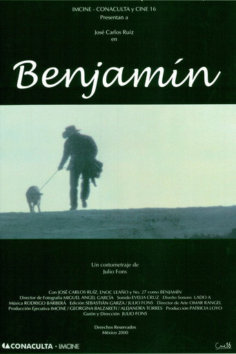 Movie poster for Benjamín (2002)