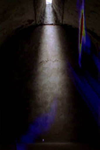 Movie poster for The Blue Record (2013)
