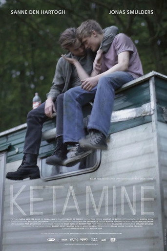 Movie poster for Ketamine (2014)