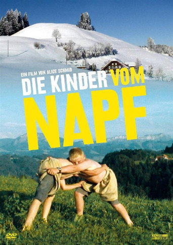 Movie poster for The Children From the Napf (2011)