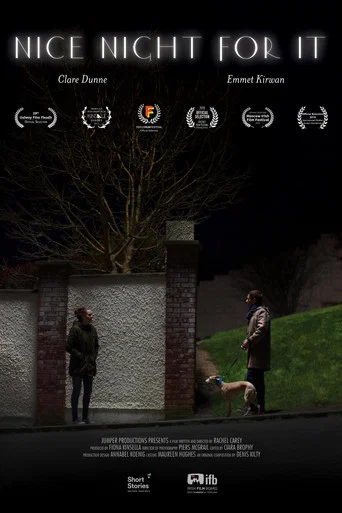 Movie poster for Nice Night for It (2017)