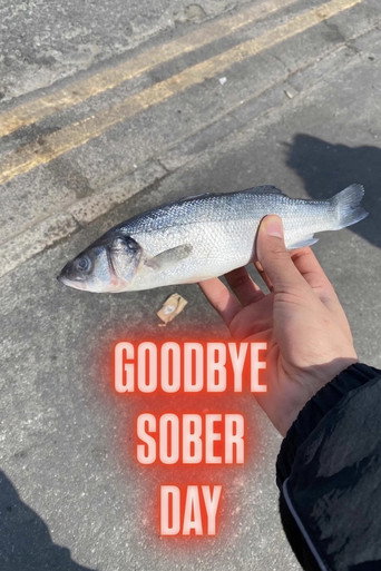 Movie poster for Goodbye Sober Day (2026)