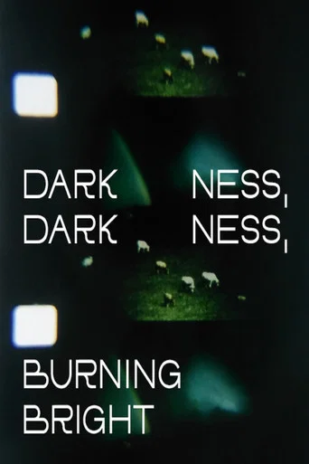 Movie poster for Darkness, Darkness, Burning Bright (2022)