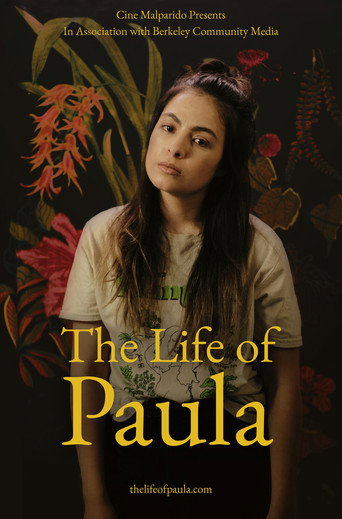 Movie poster for The Life of Paula (2021)