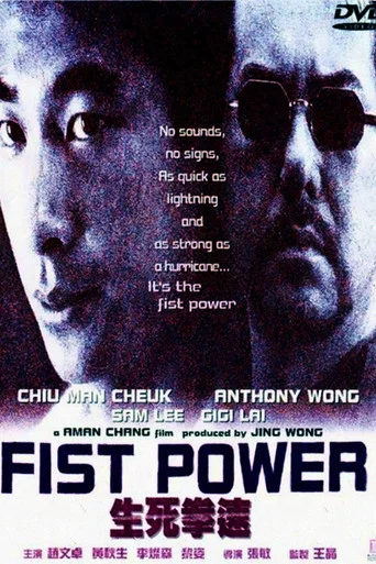 Movie poster for Fist Power (2000)
