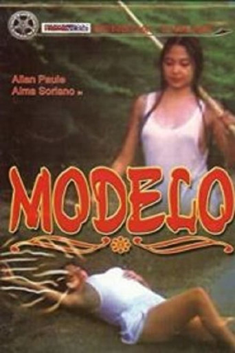 Modelo poster