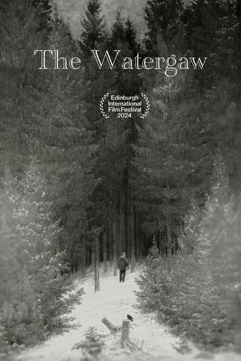 The Watergaw poster