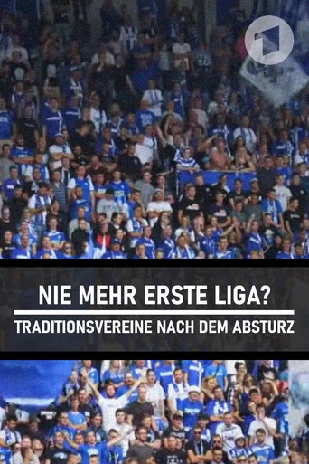 Movie poster for Nie mehr erste Liga? - Traditionsvereine nach dem Absturz (2017)