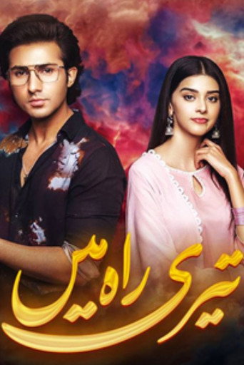 Teri Rah Mein poster