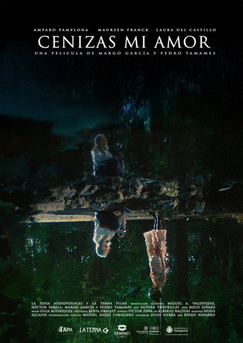 Movie poster for Cenizas, mi amor