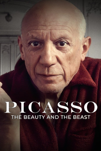 Picasso: The Beauty and the Beast poster