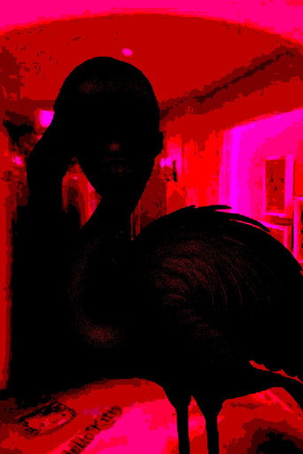 Movie poster for Flamingo