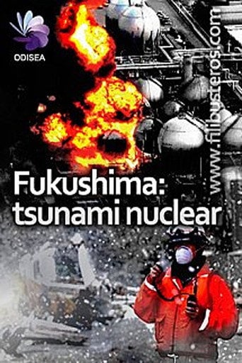 Movie poster for Nuclear Meltdown (2011)