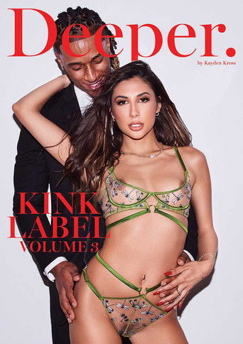 Kink Label 3 poster