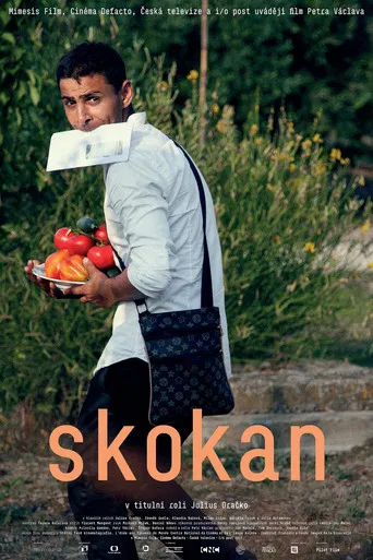 Skokan poster